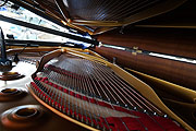 BMW Welt Jazz Award 2014 unter dem Motto „Sense of Humour“ in der BMW Welt im Doppelkegel der BMW Welt (©Foto: Martin Schmitz)